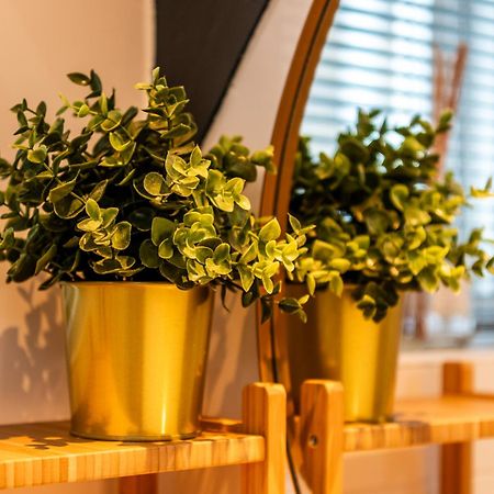 Stadsappartement Franeker 11 エクステリア 写真