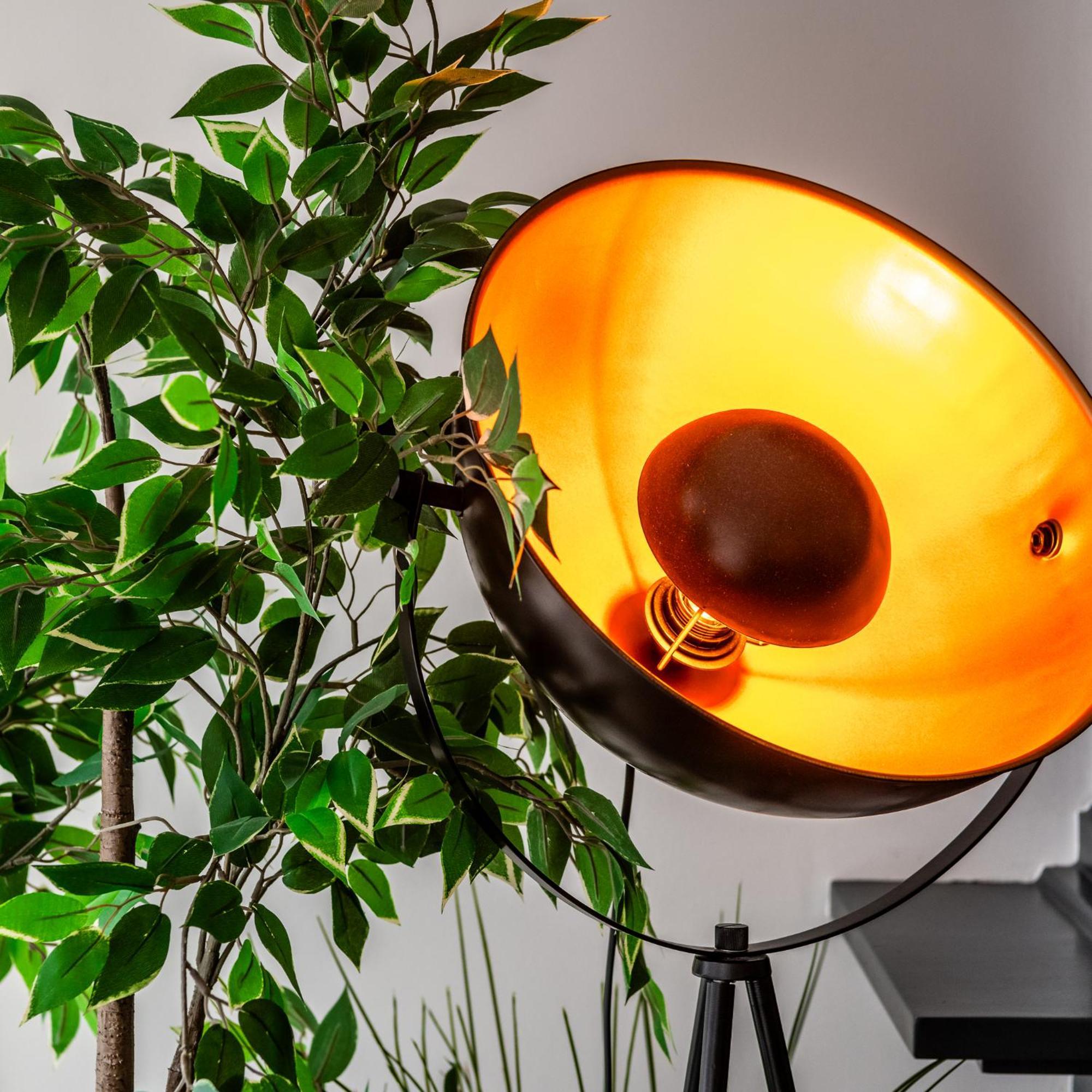 Stadsappartement Franeker 11 エクステリア 写真
