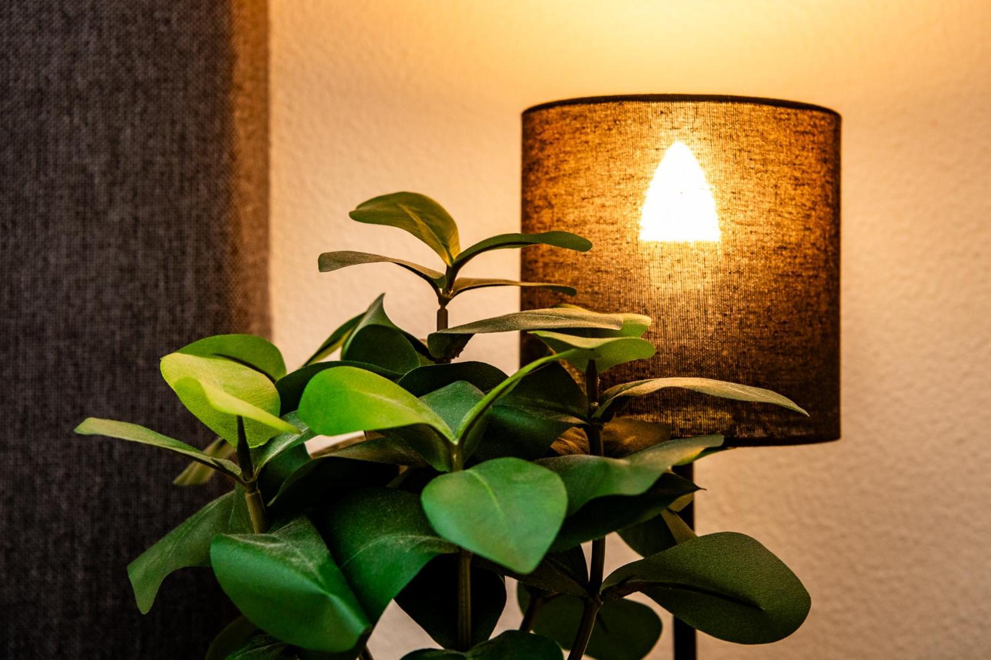 Stadsappartement Franeker 11 エクステリア 写真